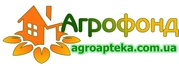 Компания Агрофонд закупает подсолнух, сою и кукурузу