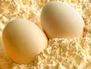 Предприятие покупает яичный порошок (только ГОСТ) до 5000 кг 