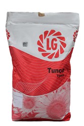 Семена гибрида подсолнечника Тунка от Лимагрейн (Limagraine)