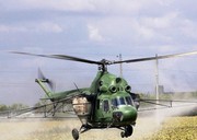 Десикация подсолнечника вертолетом - Десикація соняшнику гвинтокрилом дельтапланом