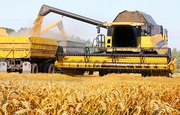 Перевезення зерна по Україні. Послуги зерновозів.