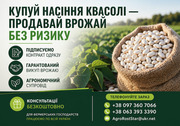 Насіння білої квасолі з контрактом на викуп врожаю